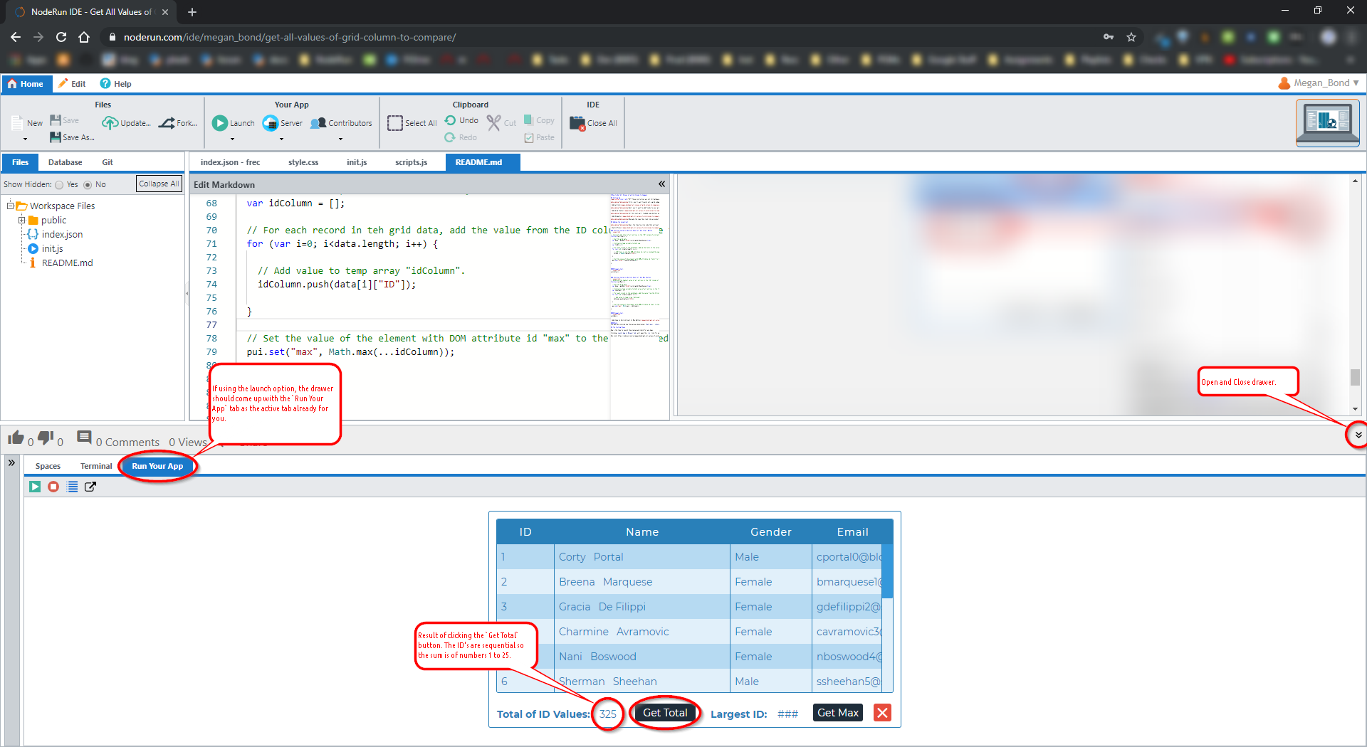 App Running in IDE Bottom Drawer