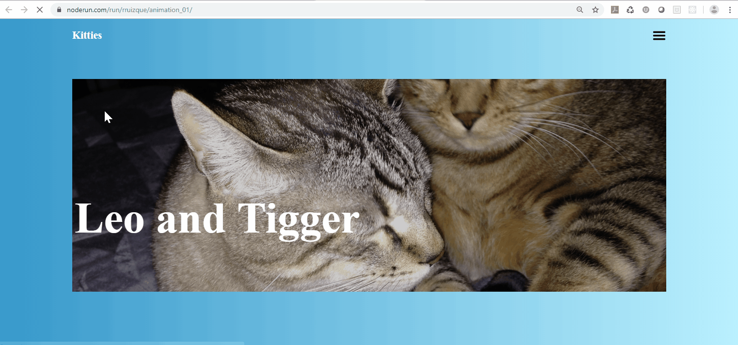 cats_gif